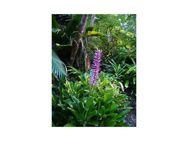 Mission Beach QLD 4852