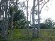 South Mission Beach QLD 4852