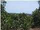 El Arish QLD 4855