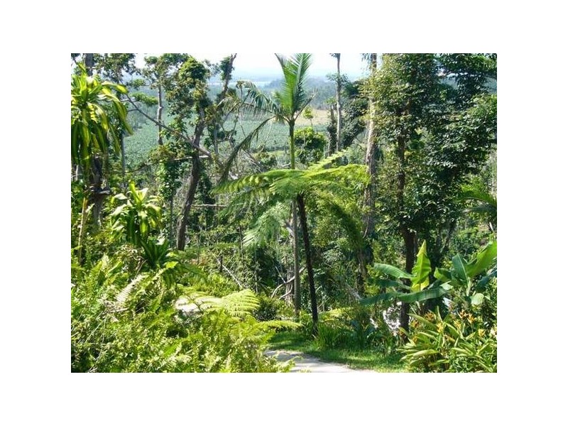 Mission Beach QLD 4852