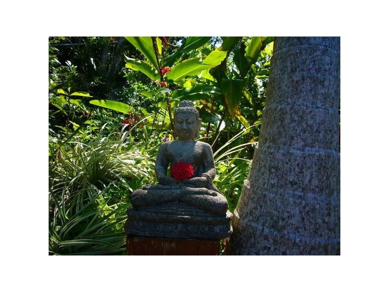 Mission Beach QLD 4852