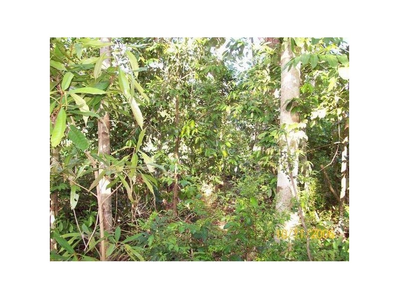 Mission Beach QLD 4852