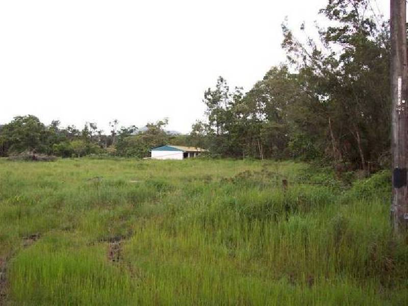 Mission Beach QLD 4852