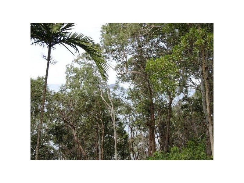 Mission Beach QLD 4852