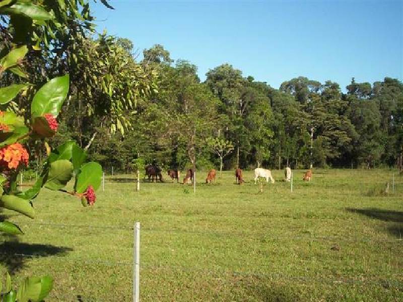Mission Beach QLD 4852