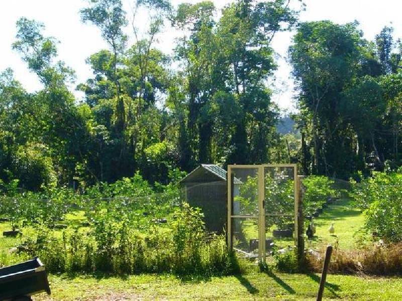 Mission Beach QLD 4852