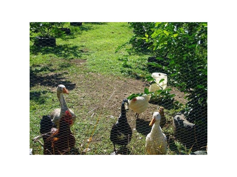 Mission Beach QLD 4852