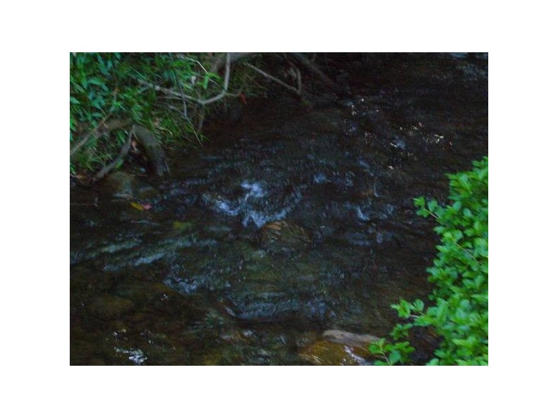 Mission Beach QLD 4852