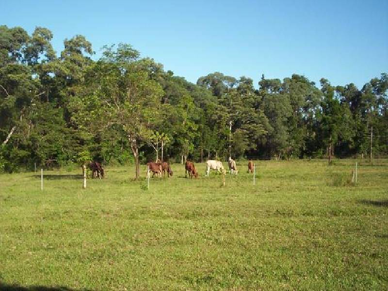 Mission Beach QLD 4852