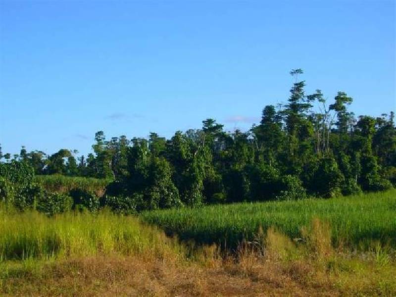 Mission Beach QLD 4852