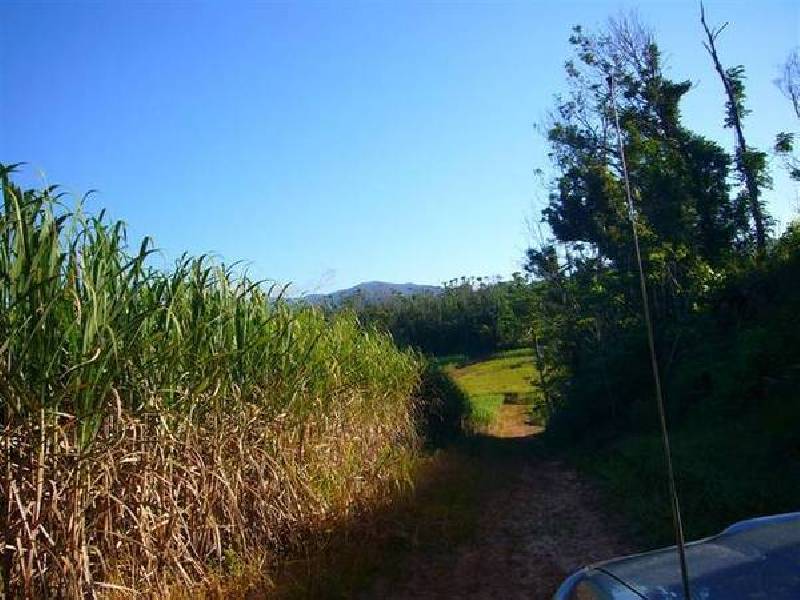 Mission Beach QLD 4852