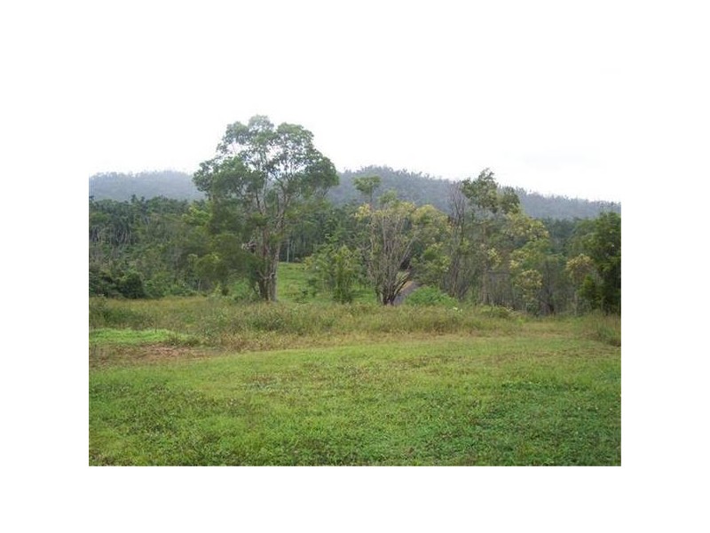 El Arish QLD 4855