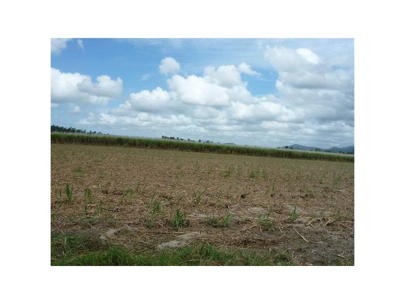 Mission Beach QLD 4852