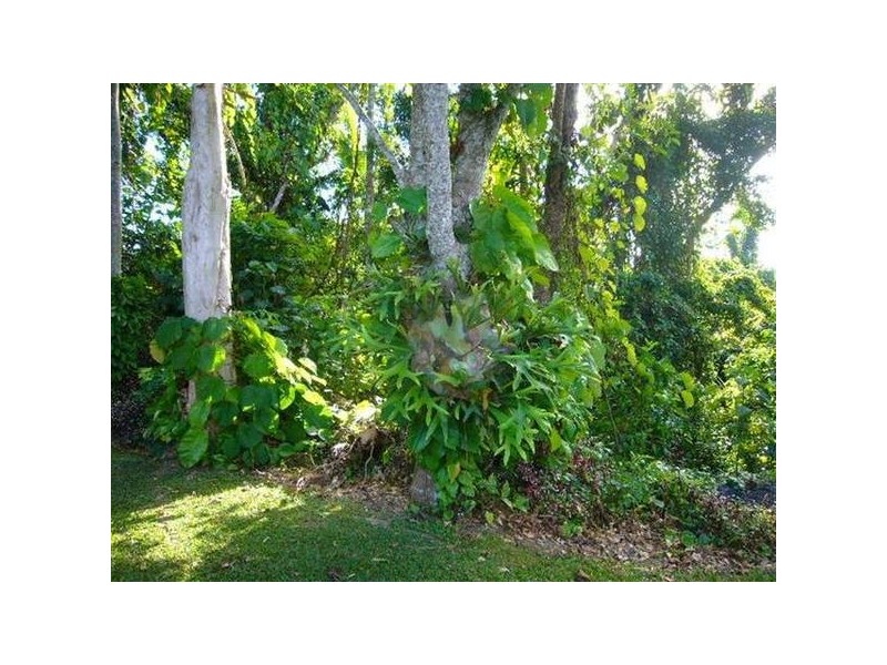 Mission Beach QLD 4852