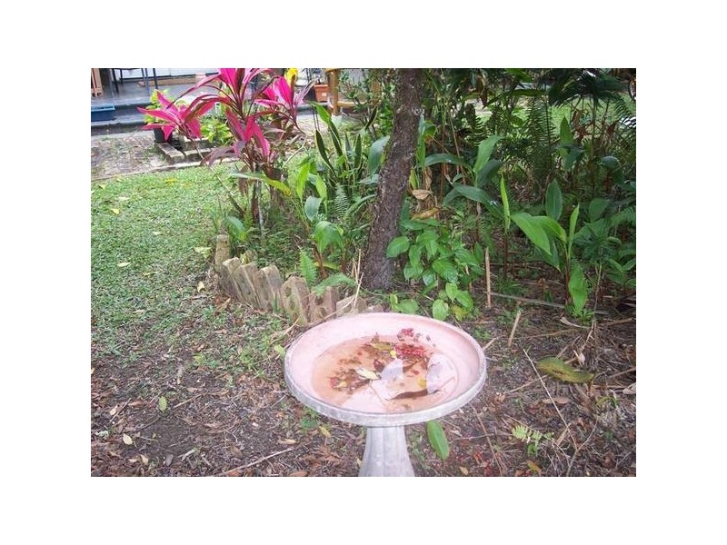 Mission Beach QLD 4852