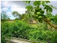 El Arish QLD 4855