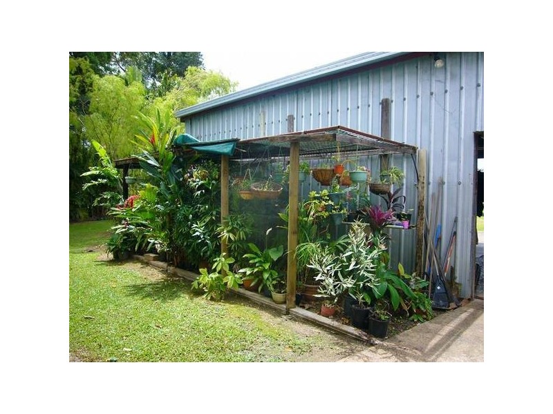 El Arish QLD 4855