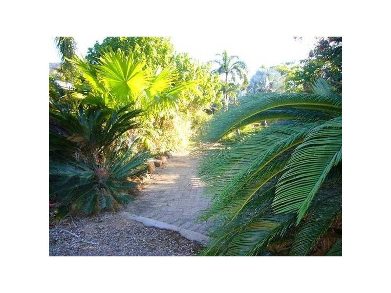 Mission Beach QLD 4852