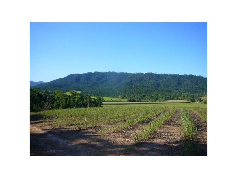 Mission Beach QLD 4852