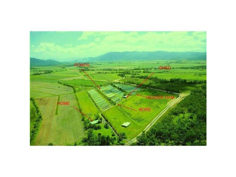 Mission Beach QLD 4852