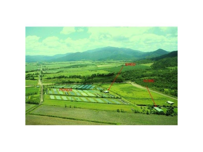 Mission Beach QLD 4852