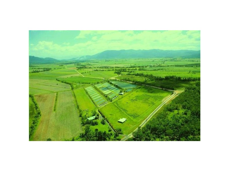 Mission Beach QLD 4852