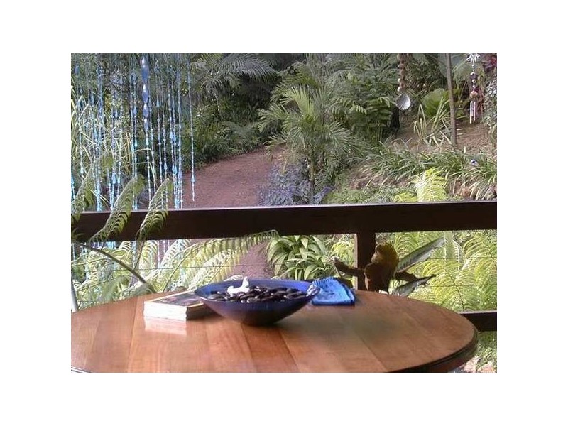 Mission Beach QLD 4852