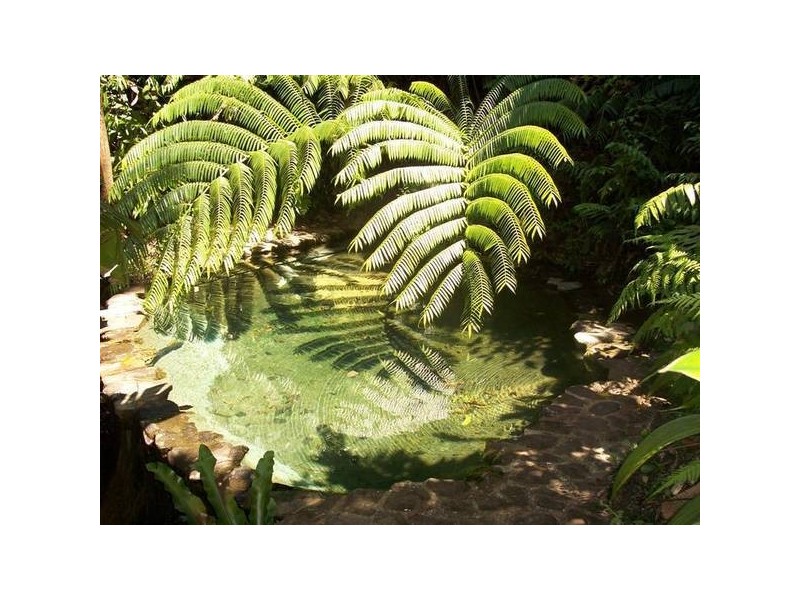 Mission Beach QLD 4852