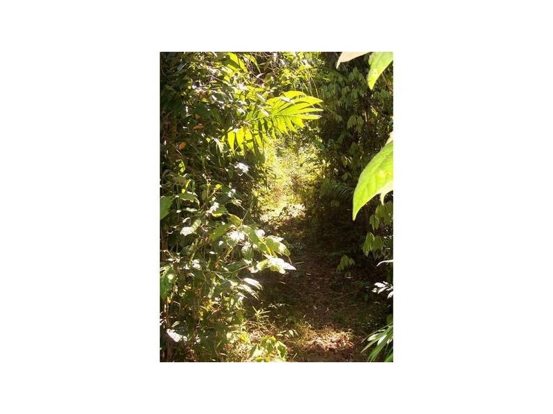 Mission Beach QLD 4852