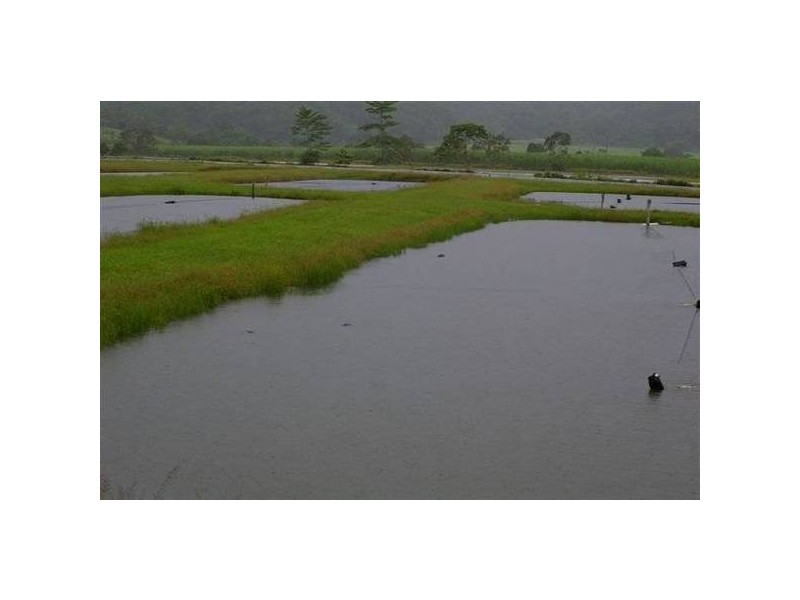 Mission Beach QLD 4852