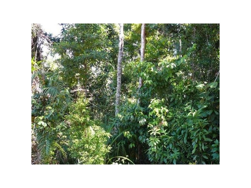 Mission Beach QLD 4852