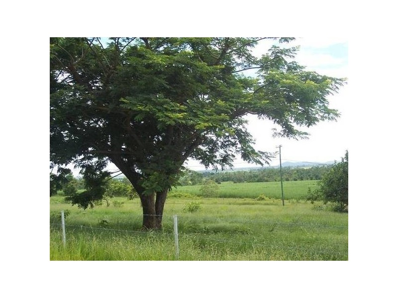 Mission Beach QLD 4852