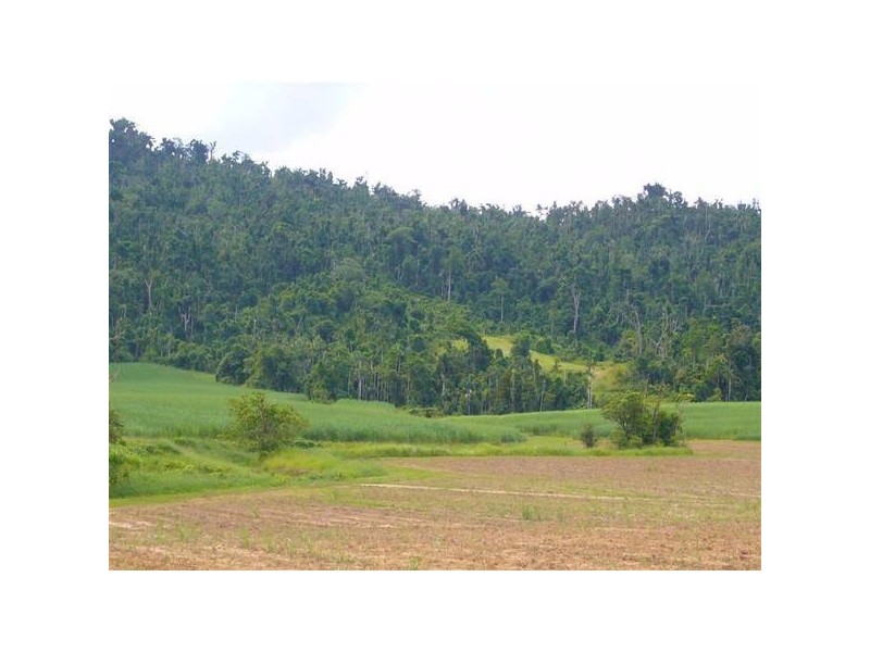 Mission Beach QLD 4852