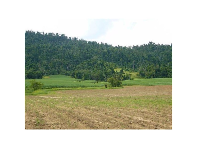 Mission Beach QLD 4852