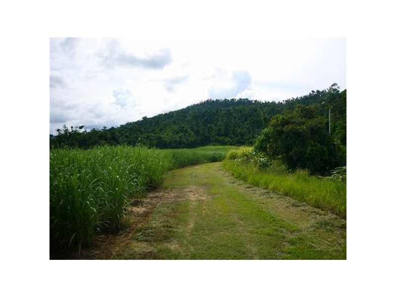 Mission Beach QLD 4852