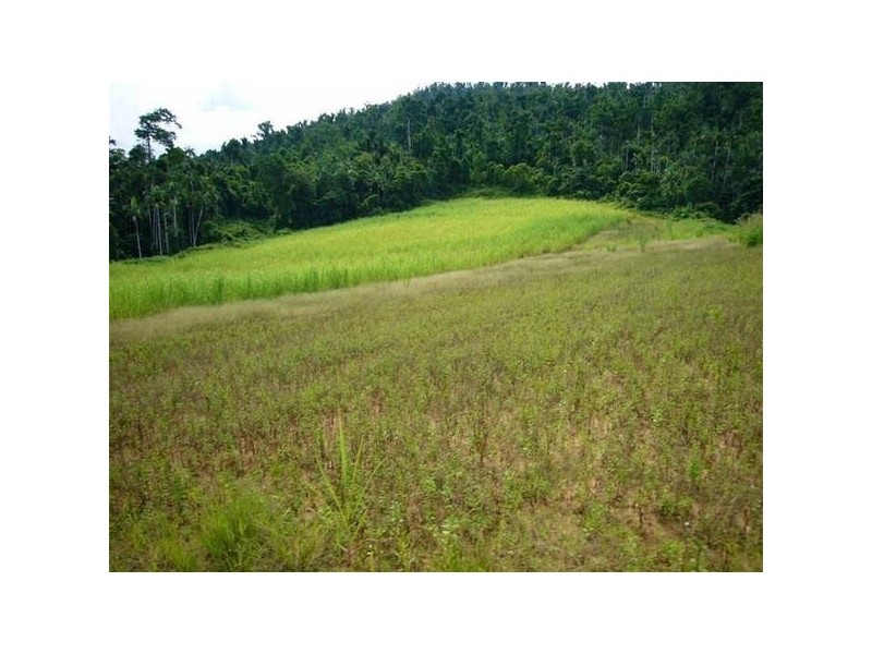 Mission Beach QLD 4852