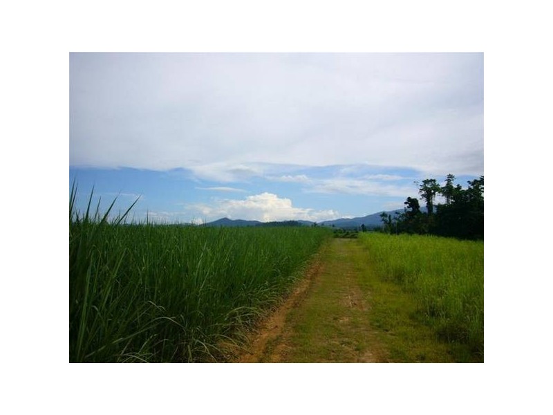 Mission Beach QLD 4852