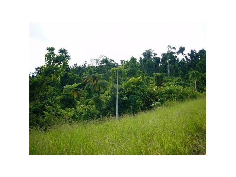 Mission Beach QLD 4852