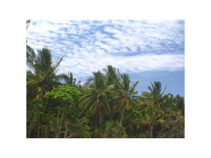 Mission Beach QLD 4852