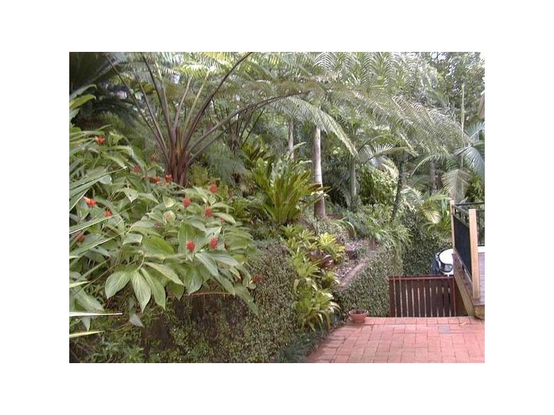 Mission Beach QLD 4852