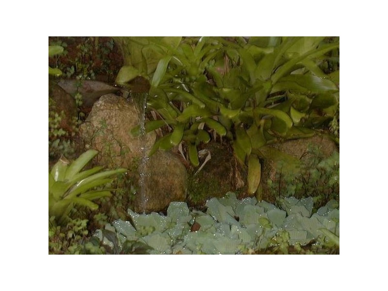 Mission Beach QLD 4852