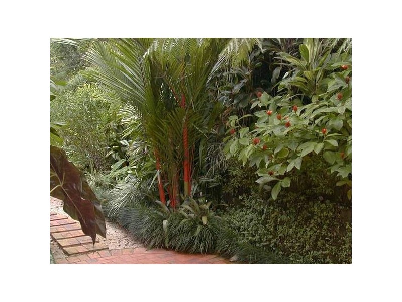 Mission Beach QLD 4852