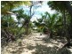 Kurrimine Beach QLD 4871