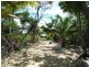 Kurrimine Beach QLD 4871