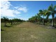 Kurrimine Beach QLD 4871