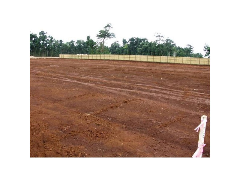 Mission Beach QLD 4852