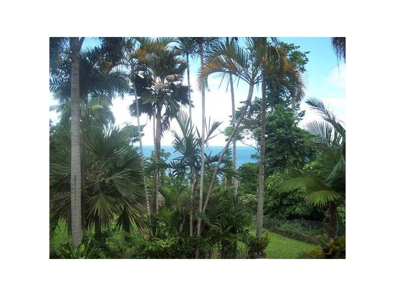 Mission Beach QLD 4852