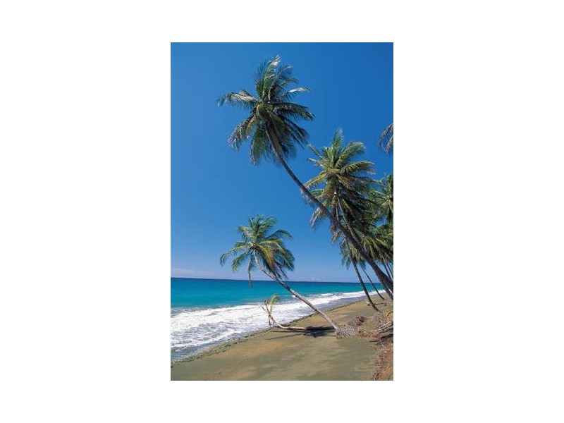 Mission Beach QLD 4852