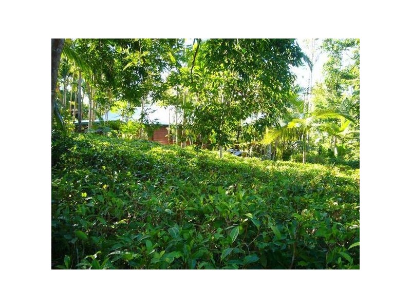 Mission Beach QLD 4852