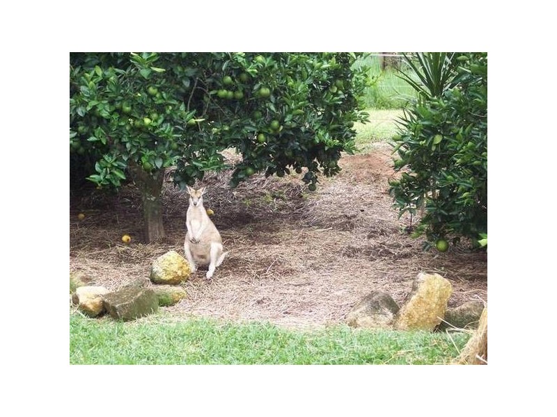 Mission Beach QLD 4852